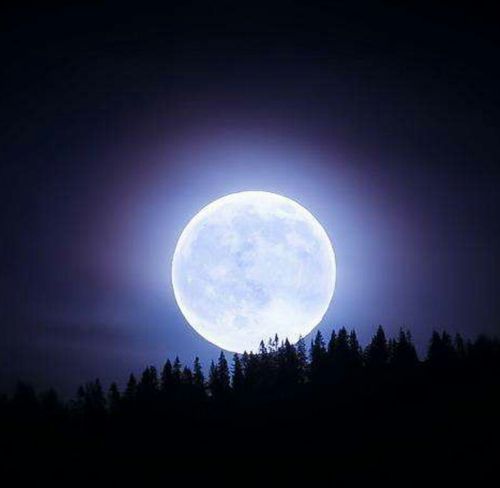 月亮会发光吗为什么会亮