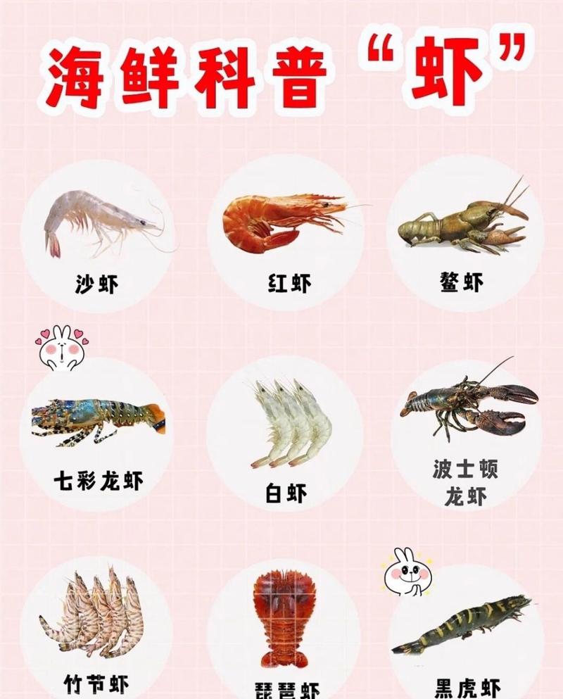 海虾种类大全