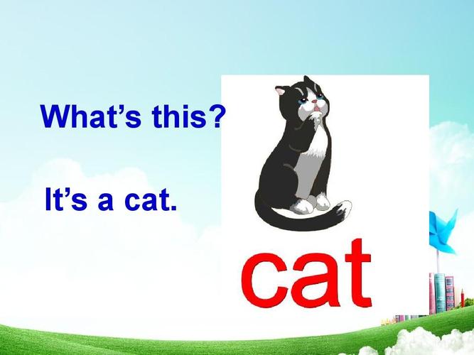 猫用英语怎么说读音视频