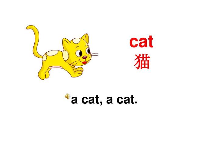 猫用英语怎么说cat
