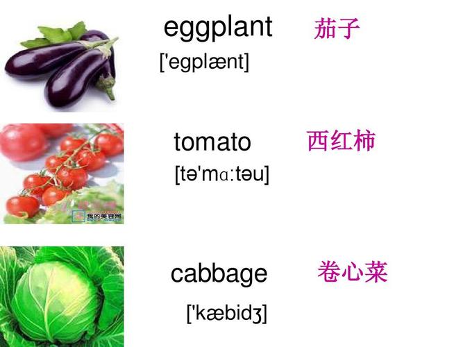 西红柿英语怎么说的相关图片